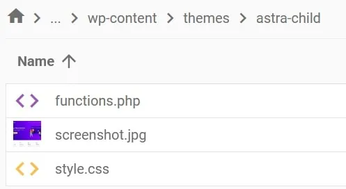 תיקיית astra-child בתוך wp-content/themes, ובה הקבצים functions.php, screenshot.jpg ו-style.css